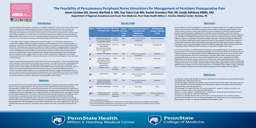 Preview of THE FEASIBILITY OF PERCUTANEOUS PERIPHERAL NERVE STIMULATORS FOR MANAGEMENT OF PERSISTENT POSTOPERATIVE PAIN