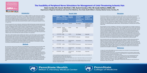 Preview of THE FEASIBILITY AND ROLE OF PERIPHERAL NERVE STIMULATORS FOR MANAGEMENT OF LIMB-THREATENING ISCHEMIC PAIN