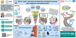 Thumbnail for UNVEILING UNMET PAIN AND PALLIATIVE CARE NEEDS AMONG CANCER PATIENTS IN RURAL NORTH INDIA: A PARTICIPATORY ACTION APPROACH