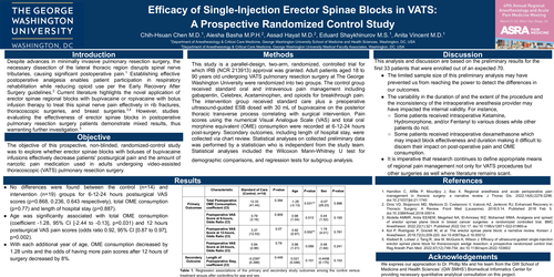 Preview of EFFICACY OF SINGLE-INJECTION ERECTOR SPINAE BLOCKS IN VATS: A PROSPECTIVE RANDOMIZED CONTROL STUDY