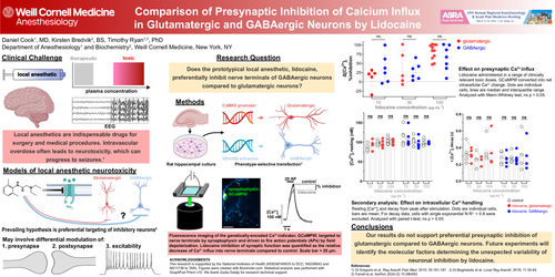 Preview of COMPARISON OF PRESYNAPTIC INHIBITION OF CALCIUM INFLUX IN GLUTAMATERGIC AND GABAERGIC NEURONS BY LIDOCAINE