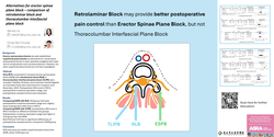 Thumbnail for ALTERNATIVES FOR ERECTOR SPINAE PLANE BLOCK – COMPARISON OF RETROLAMINAR BLOCK AND THORACOLUMBAR INTERFASCIAL PLANE BLOCK