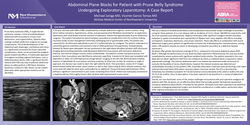 Thumbnail for ABDOMINAL PLANE BLOCKS FOR PATIENT WITH PRUNE BELLY SYNDROME UNDERGOING EXPLORATORY LAPAROTOMY: A CASE REPORT