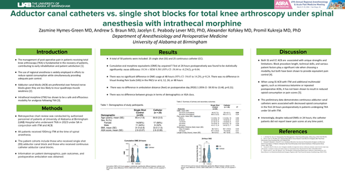 Preview of ADDUCTOR CANAL CATHETERS VS. SINGLE SHOT BLOCKS FOR TOTAL KNEE ARTHROSCOPY UNDER SPINAL ANESTHESIA WITH INTRATHECAL MORPHINE