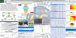 Thumbnail for Calcination parameters of calcium oxide (CaO) catalyst on biodiesel production of waste cooking oil and palm kernel (elaeis guineensis) oil