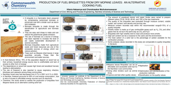 Thumbnail for Production of briquettes from dry Mopane leaves an alternative cooking solid fuel