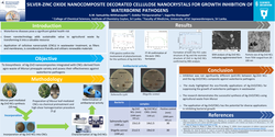Thumbnail for Silver-Zinc oxide nanocomposite decorated cellulose nanocrystals for growth inhibition of waterborne pathogens