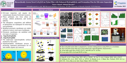Thumbnail for Hierarchically grown novel CeO₂/GO on nylon filter with enhanced hydrophilicity and permeation flux for oil-water separation