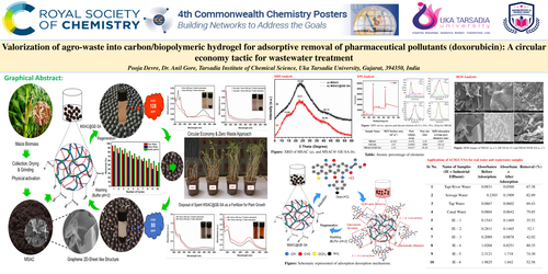 Preview of Valorization of agro-waste into carbon/biopolymeric hydrogel for adsorptive removal of Doxo.HCL pollutants : a circular economy tactic for wastewater treatment