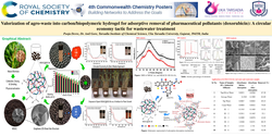 Thumbnail for Valorization of agro-waste into carbon/biopolymeric hydrogel for adsorptive removal of Doxo.HCL pollutants : a circular economy tactic for wastewater treatment