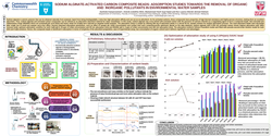 Thumbnail for Sodium alginate-activated carbon composite beads: adsorption studies towards the removal of organic and inorganic pollutants in environmental water samples
