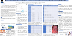 Thumbnail for Physicochemical and metals characterisation: impact assessment of Badagry creek on groundwater quality in Ojo community, Lagos State