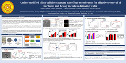 Thumbnail for Amine-modified silica-cellulose acetate nanofiber membranes for effective removal of hardness and heavy metals in drinking water