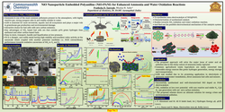 Thumbnail for NiO Nanoparticle Embedded Polyaniline (NiO-PANI) for Enhanced Ammonia and Water Oxidation Reactions