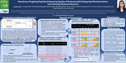 Thumbnail for Membrane-Targeting Peptides Enhancing Uptake of Ruthenium(II) Polypyridyl Photosensitiser into Clinically Relevant Bacteria