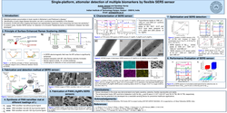 Thumbnail for Single-platform, attomolar detection of Alzheimer’s disease biomarker by flexible SERS sensor