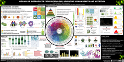 Thumbnail for High-value bioproducts from microalgae: advancing human health and nutrition