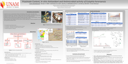 Thumbnail for Proximate Content, In vitro Antioxidant and Antimicrobial activity of Eulophia hereroensis