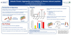Thumbnail for Gelsolin Protein: Aggregation and inhibition of disease-relevant peptides