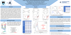 Thumbnail for Ultra-sensitive electrochemiluminescent biosensor for the detection of coronavirus variants