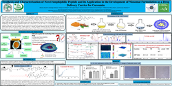 Thumbnail for Synthesis and characterization of novel amphiphilic peptide and its application in development of niosomal formulation as a drug delivery carrier for curcumin