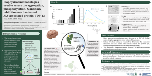 Preview of Biophysical methodologies used to assess the aggregation, phosphorylation, and antibody inhibition mechanisms of ALS-associated protein, TDP-43