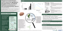 Thumbnail for Biophysical methodologies used to assess the aggregation, phosphorylation, and antibody inhibition mechanisms of ALS-associated protein, TDP-43