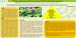 Thumbnail for Phytoconstituents and Pharmacological Profile of Echinacea purpurae