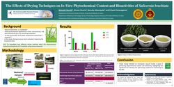 Thumbnail for The effects of drying techniques on in-vitro phytochemical content and bioactivities of Salicornia brachiata