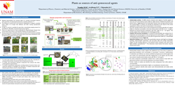 Thumbnail for Plants as sources of anti-gonococcal agents