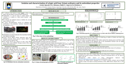 Thumbnail for Isolation and characterization of xylopic acid from xylopia aethiopica and its antioxidant properties