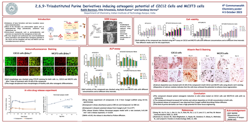 Preview of 2, 6, 9-Trisubstituted purine derivatives regulating osteogenic differentiation of C2C12 cells and MC3T3 cells