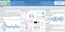 Thumbnail for Allosteric Site in MetAP-II Explored by Markov State Model-Based Adaptive Sampling Molecular Dynamics Simulation