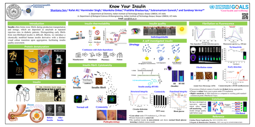 Preview of Know your insulin