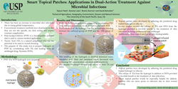Thumbnail for Smart Topical Patches: Applications in Dual-Action Treatment Against Microbial Infections