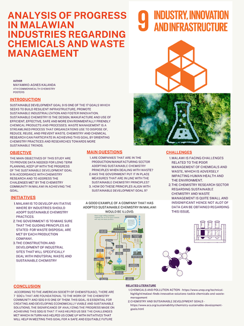 Preview of Analysis of progress in Malawian industries regarding chemicals and waste management