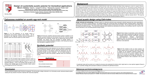 Preview of Design of a 3D potentially auxetic polymer for biomedical applications