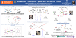 Thumbnail for Installing Charge in Diphosphine Borate End-Group Ligands