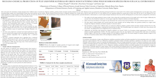 Preview of MECHANO-CHEMICAL PRODUCTION OF PULP AND PAPER MATERIALS BY GREEN MANUFACTURING USING WILD MUSHROOM SPECIES FROM OUR LOCAL ENVIRONMENT