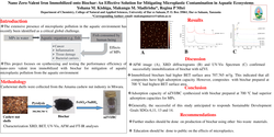 Thumbnail for Nano Zero-Valent Iron Immobilized onto Biochar: An Effective Solution for Mitigating Microplastic Contamination in Aquatic Ecosystems