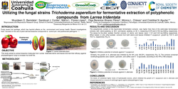 Preview of Utilizing the fungal strain Trichoderma asperellum for fermentative extraction of polyphenolic compounds from the leaves and stems of Larrea tridentata