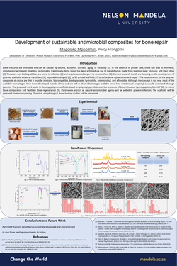 Thumbnail for Development of sustainable antimicrobial composites for bone repair
