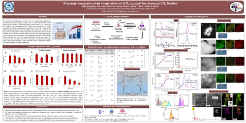 Preview of Precisely designed cobalt single atom on ZrO₂ support for chemical CO₂ fixation