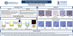 Thumbnail for Reconfigurable Pickering emulsions