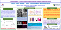Thumbnail for Catalytic oxidation of hydroxyarenes over silica-supported bimetallic noble metal catalysts