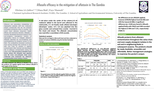 Preview of Aflasafe efficacy in the mitigation of aflatoxin in The Gambia