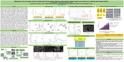 Thumbnail for Magnesium, zinc, and copper nutrient nanoparticles infused sodium alginate-carboxymethyl cellulose-based nano-hybrids as an efficient slow-release fertilizer