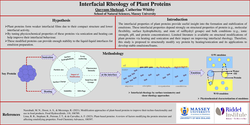 Thumbnail for Interfacial rheology of plant proteins