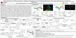 Thumbnail for Fluorinated (–)- Balanol Analogues for Probing Responses of Homologous ATP Sites of PKC and PKB/AGC Kinases