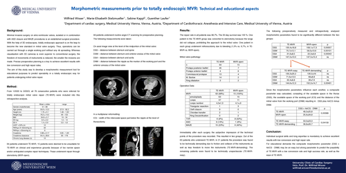 Preview of Morphometric Measurements Prior To Mkr-mic: Technical And Educational Aspects